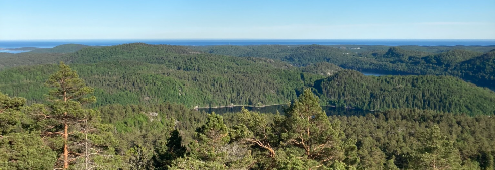 Heiberg Opp